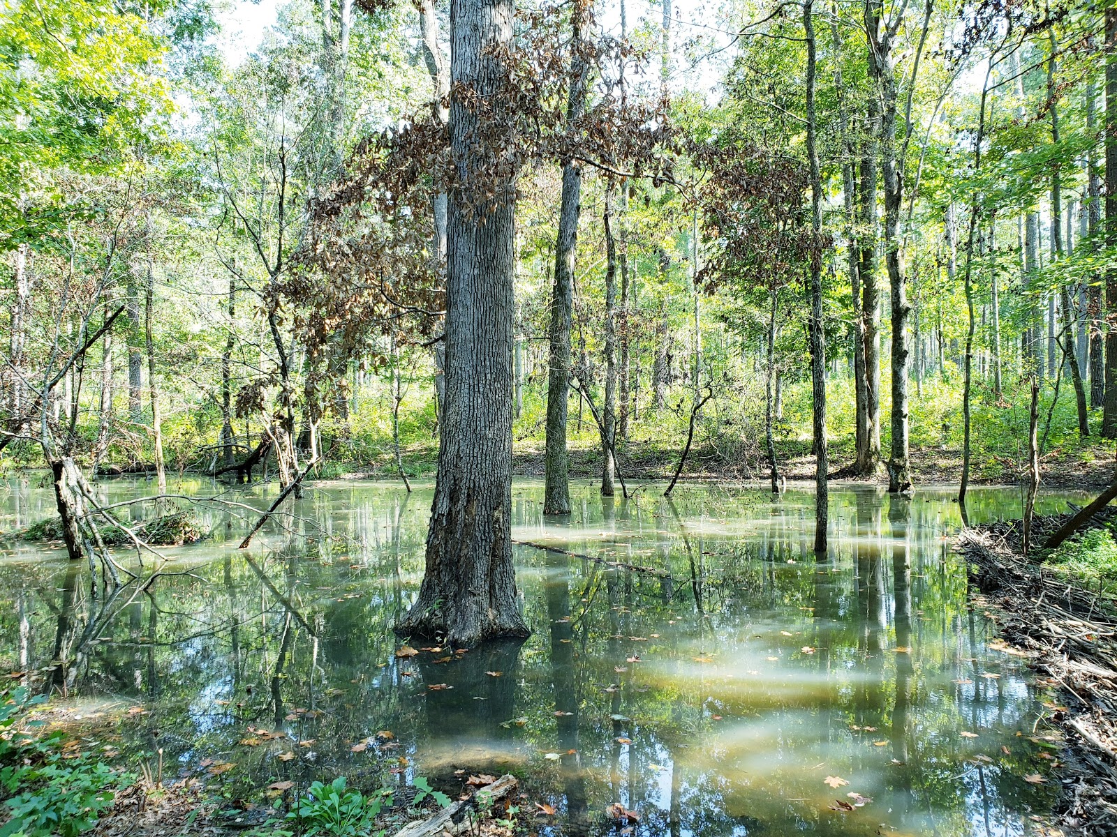 The Pocket Recreation Area