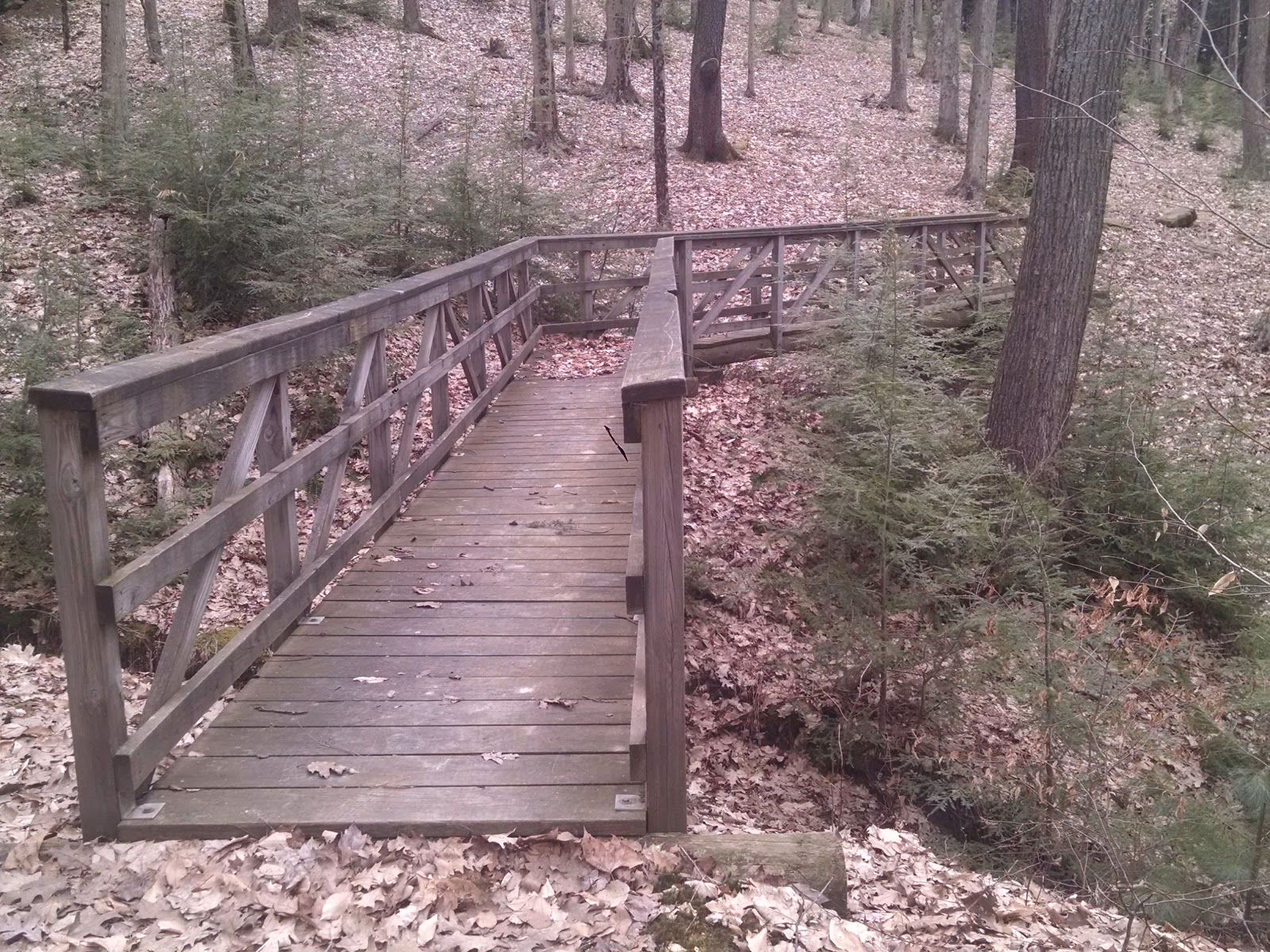 Handsome Lake Boat Access Campground