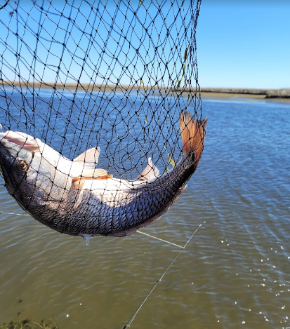 I'm on Vacation - Lodge + RV Retreat