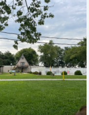 Fox Squirrel - Walnut Point State Park