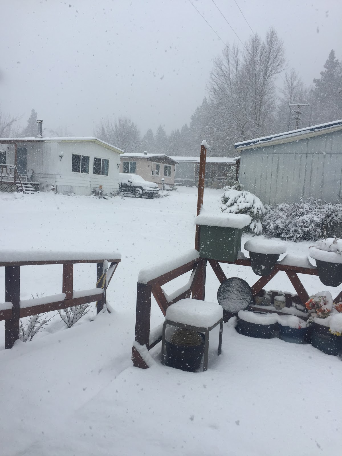 Chateau Shasta Mobile Home and RV Park