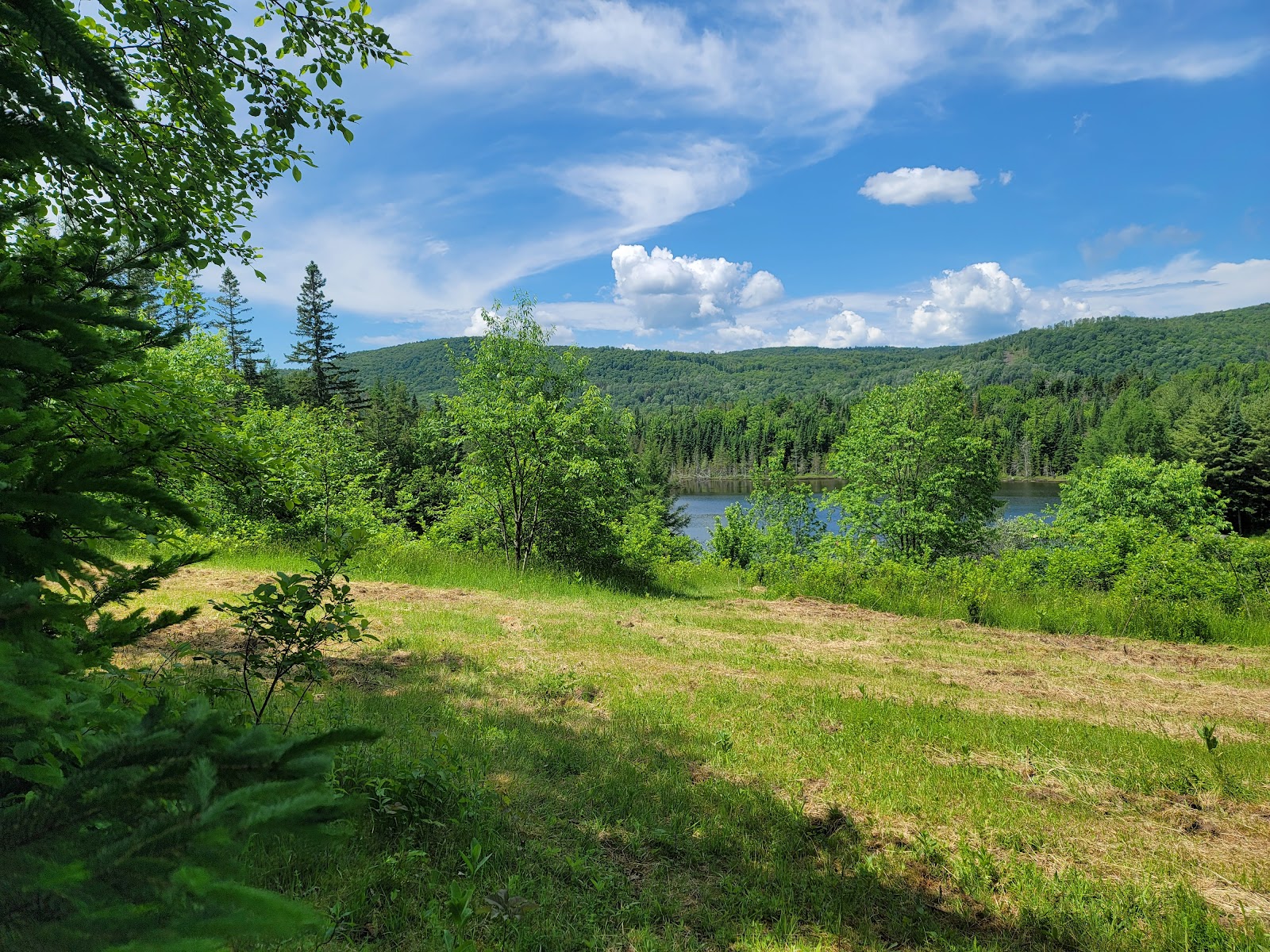 Ladd Pond Cabins And Campground