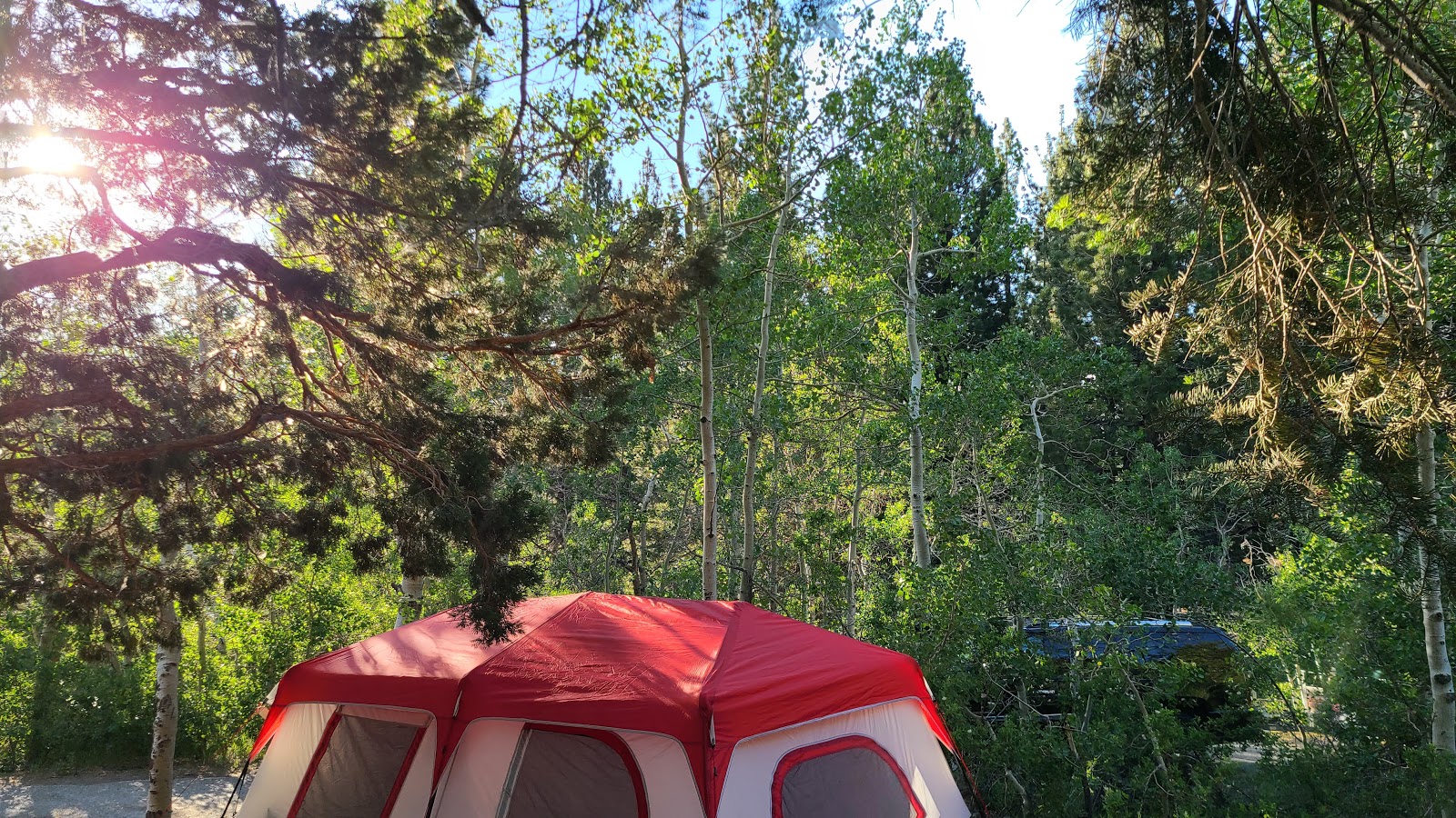 June Lake Campground