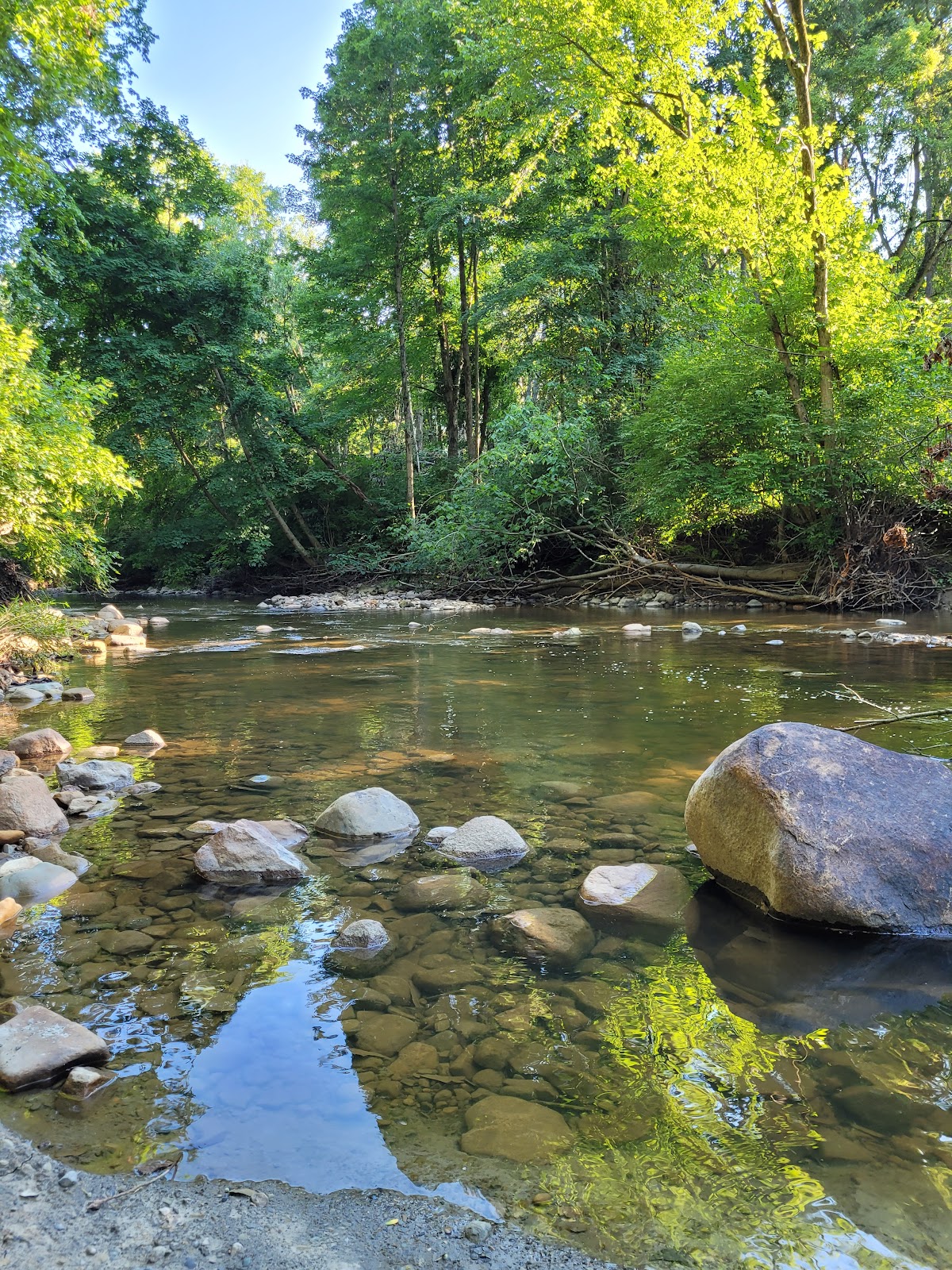 Mt Gilead Campground