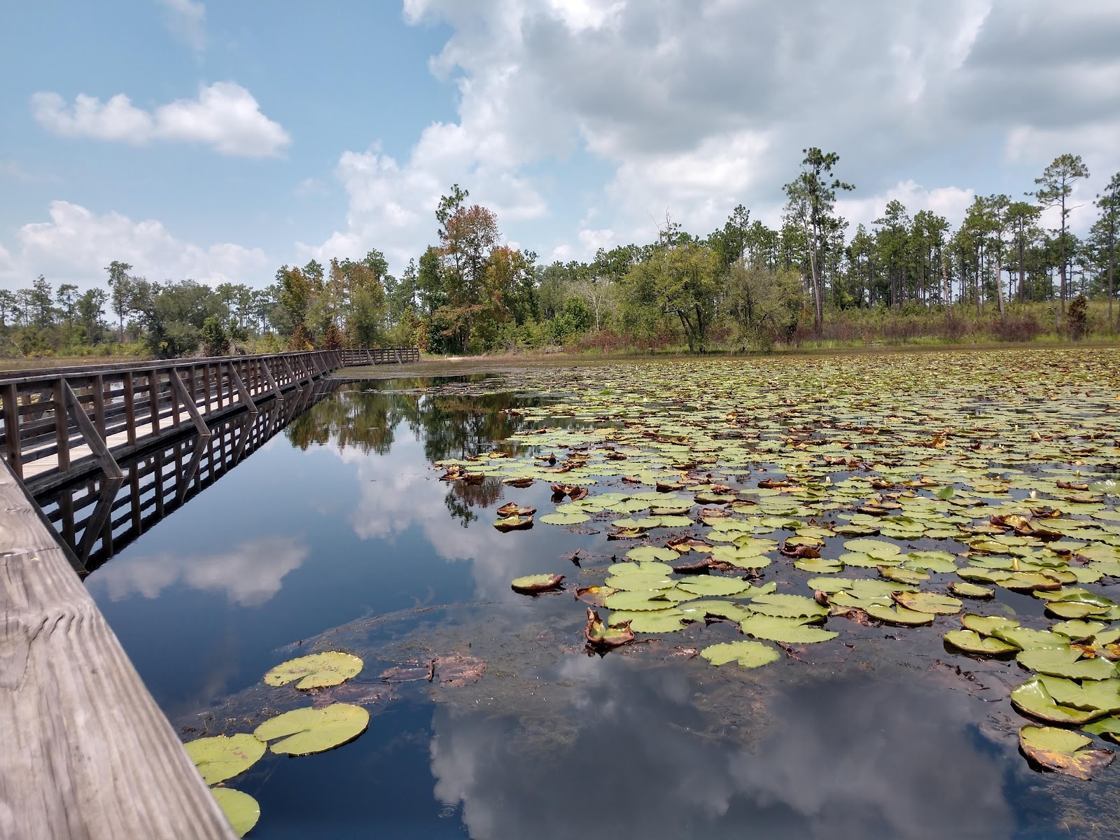 Seminole State Park
