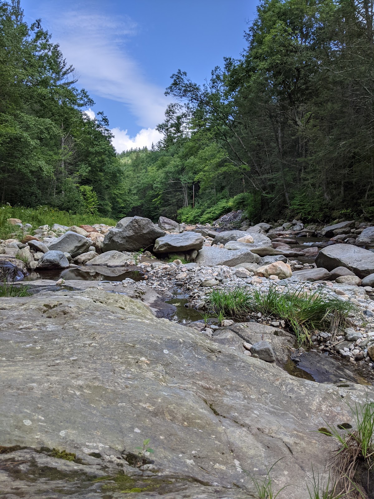 Mohawk Trail State Forest