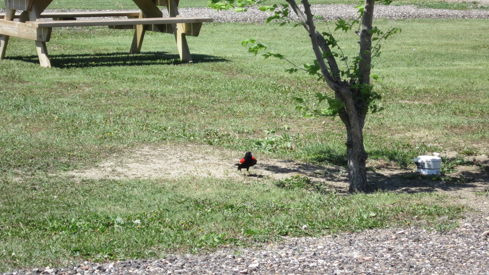 Belvidere East / Exit 170 KOA Journey