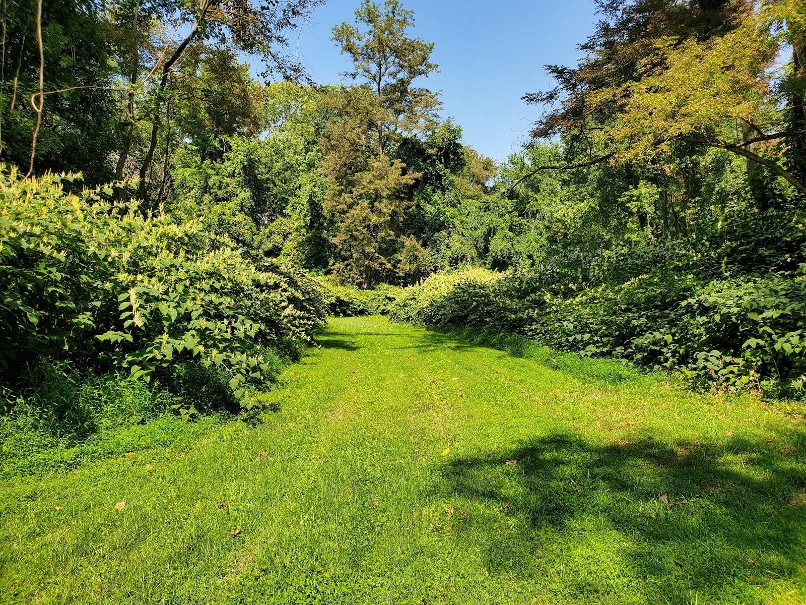 Fort Boone Campsites