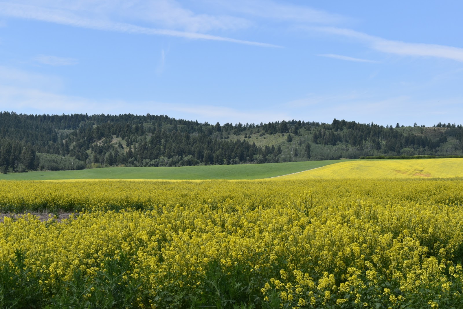 Craters of the Moon / Arco KOA Journey