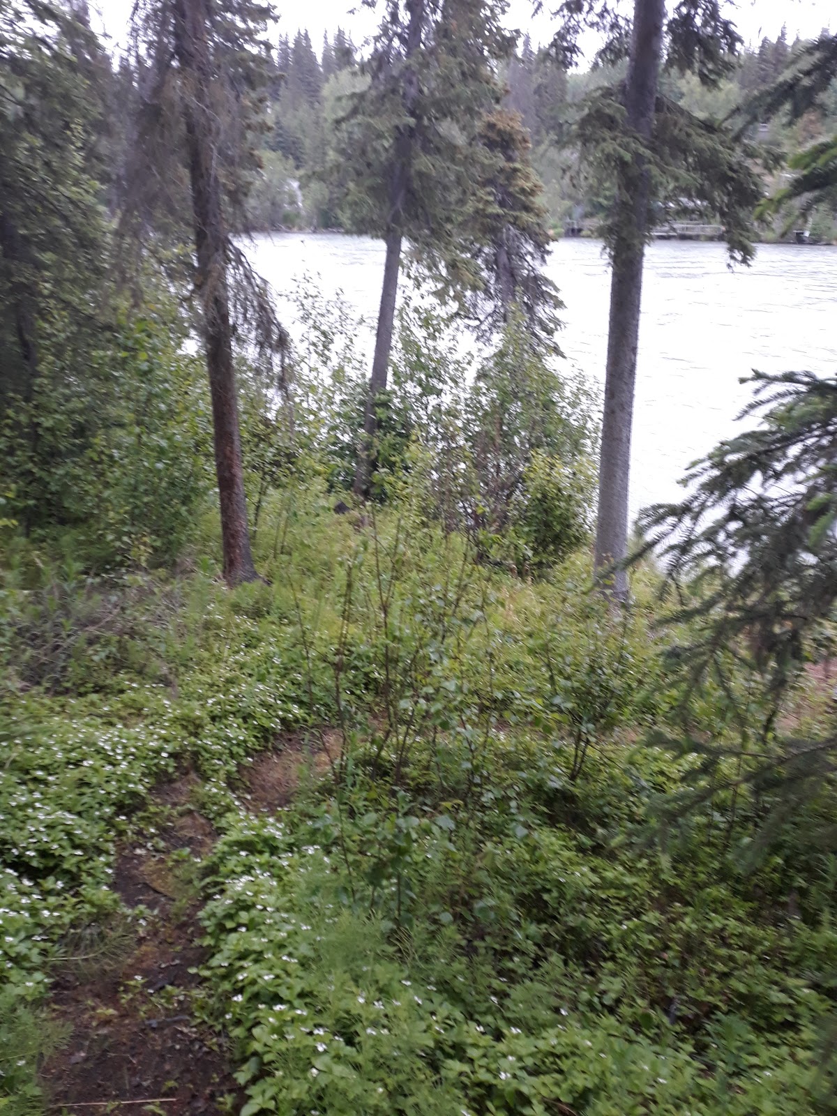 Funny River Campground