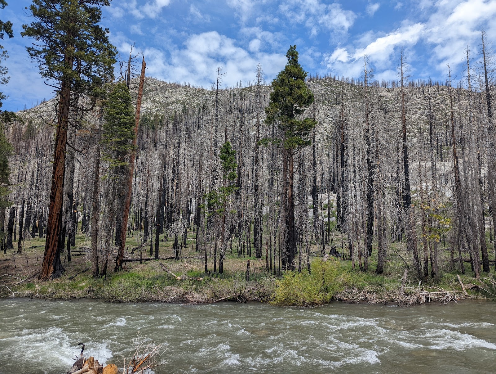Dardanelle Campground
