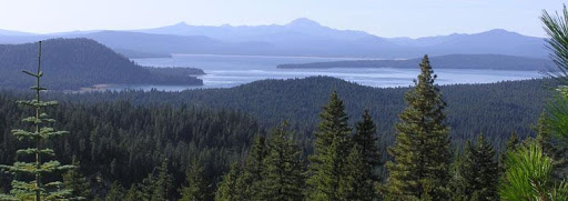 Lake Almanor RV and Mobile Park