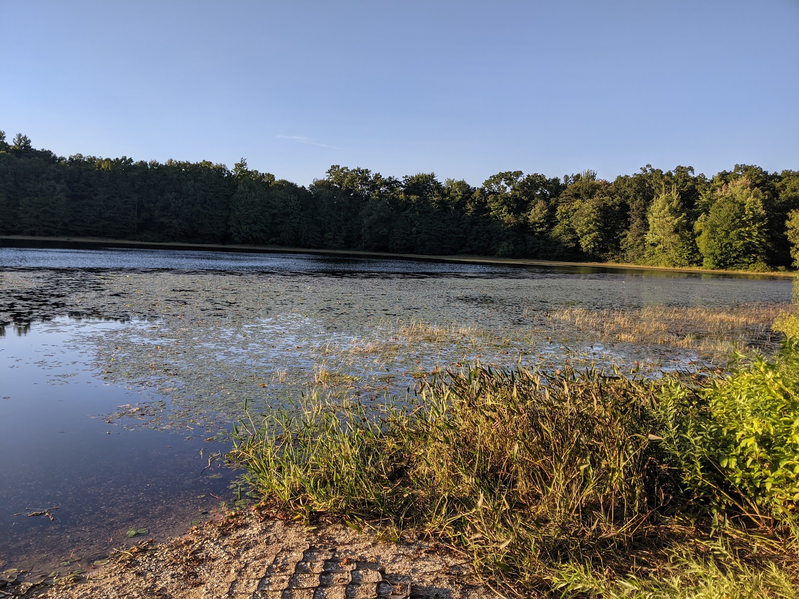 Ely Lake Campground and Equestrian Park