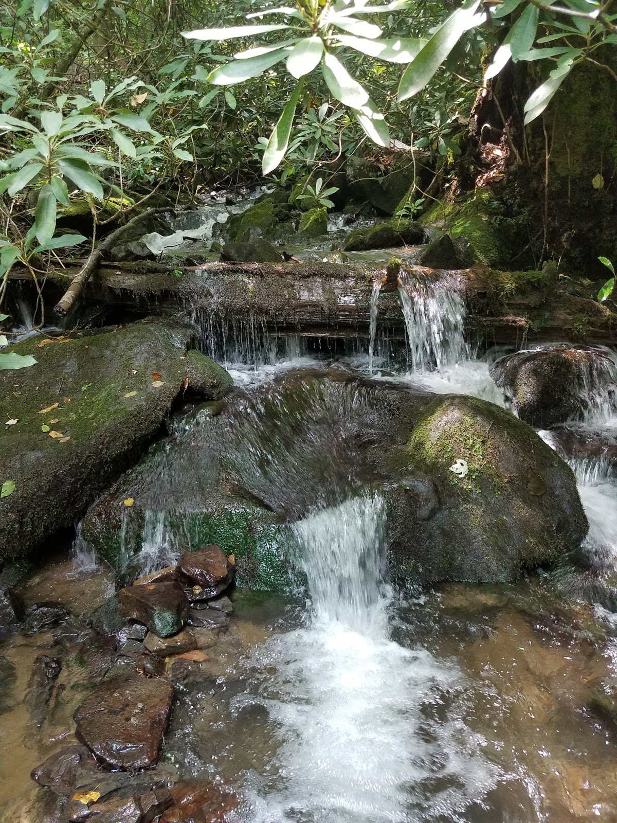 Horse Cove Campground