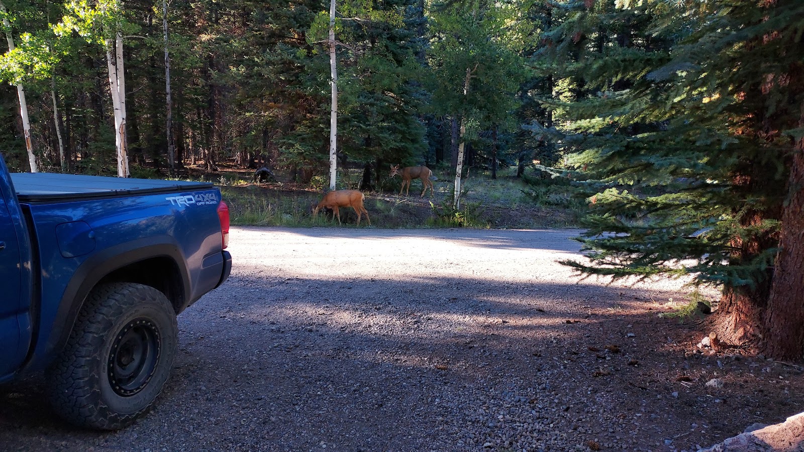 Thirtymile Campground
