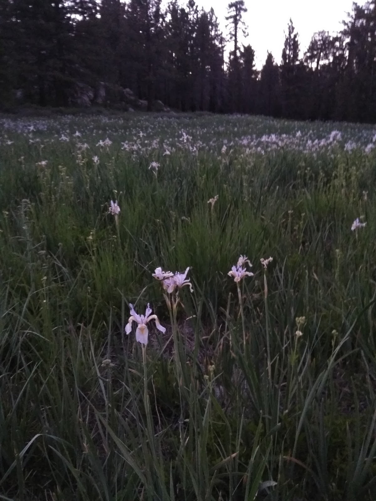 Valle Vista Campground