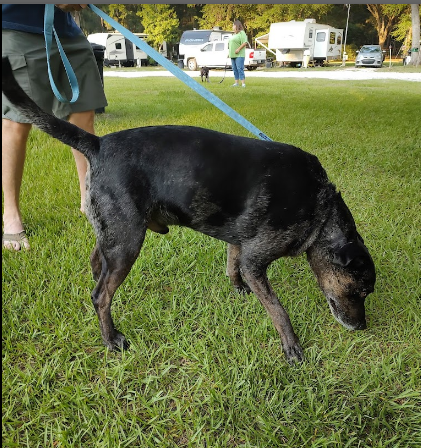 Futter's 4 Oaks RV Park