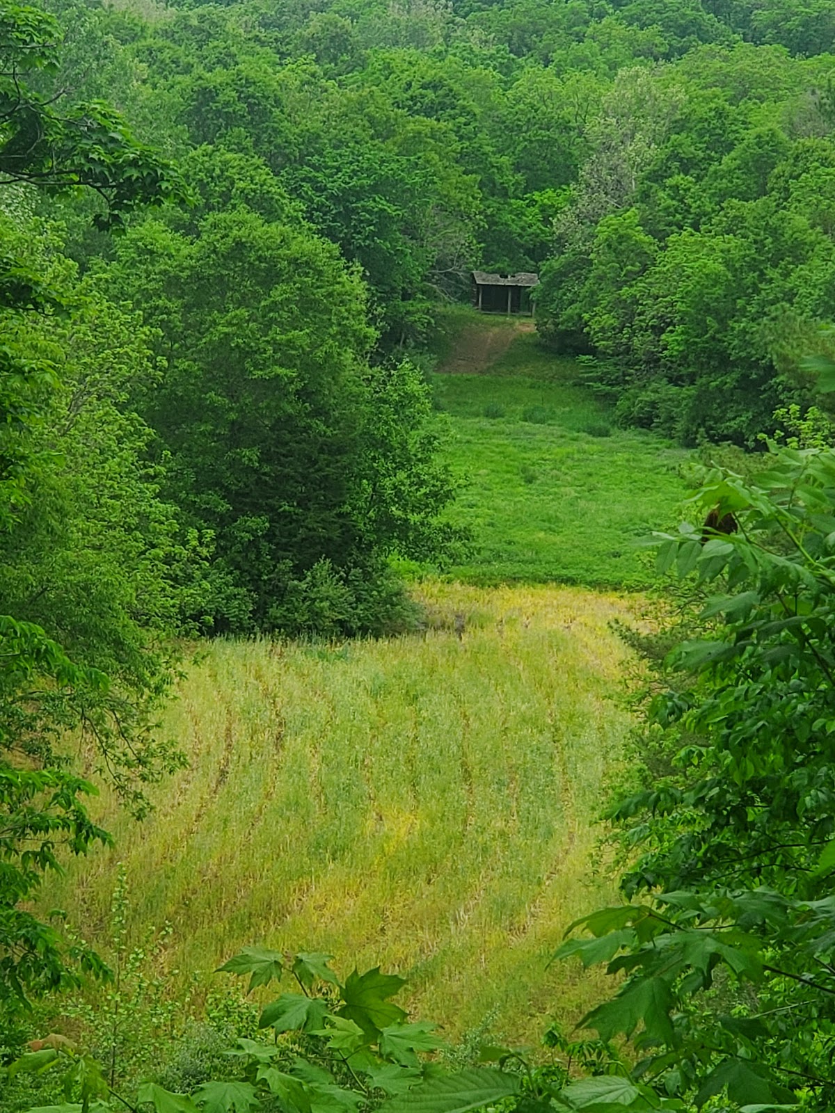 Weinberg-King State Park Fish and Wildlife Area