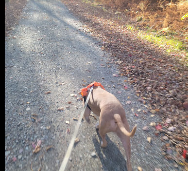 Cherry Plain State Park