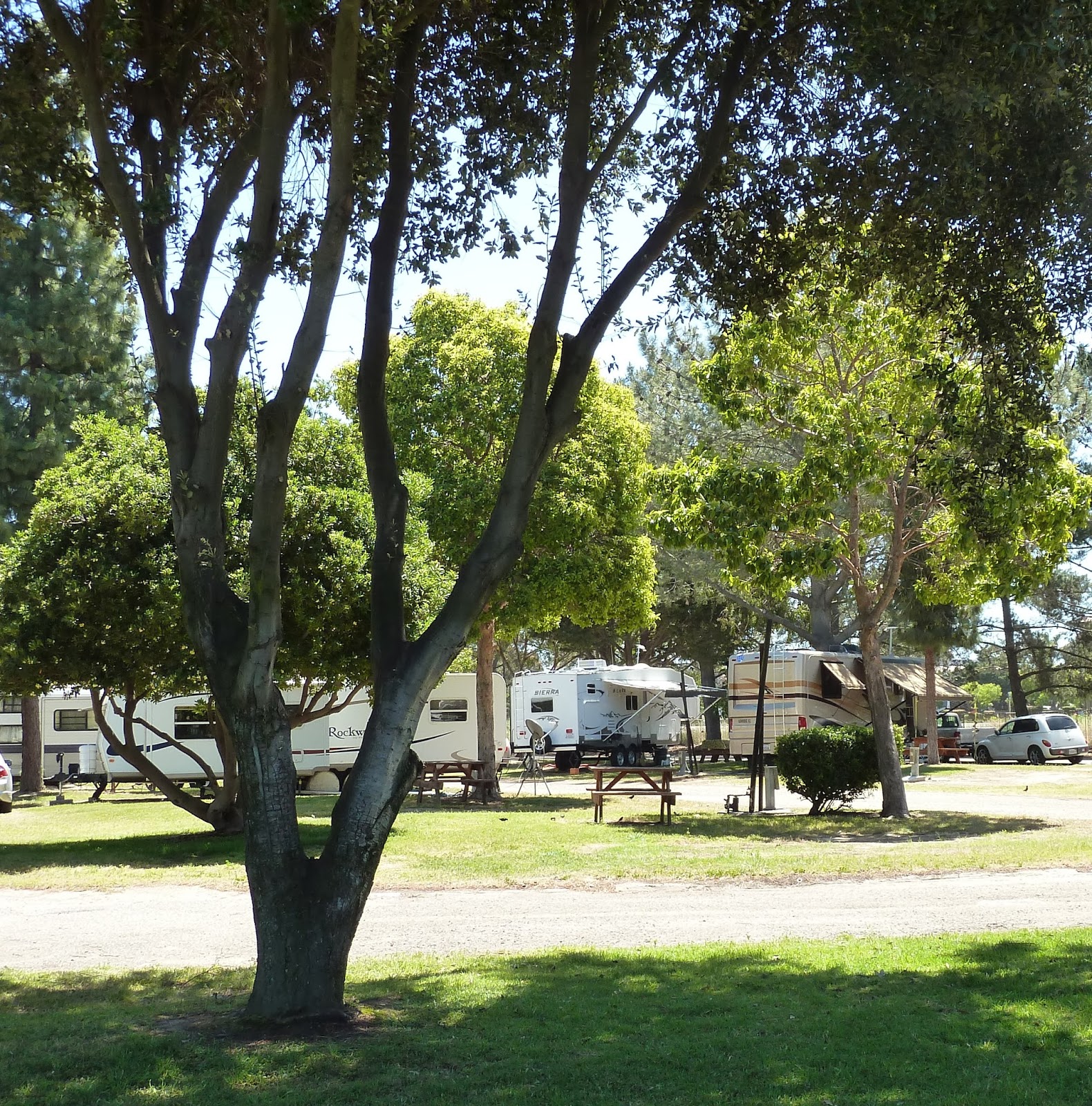 Santa Maria Pines Campground