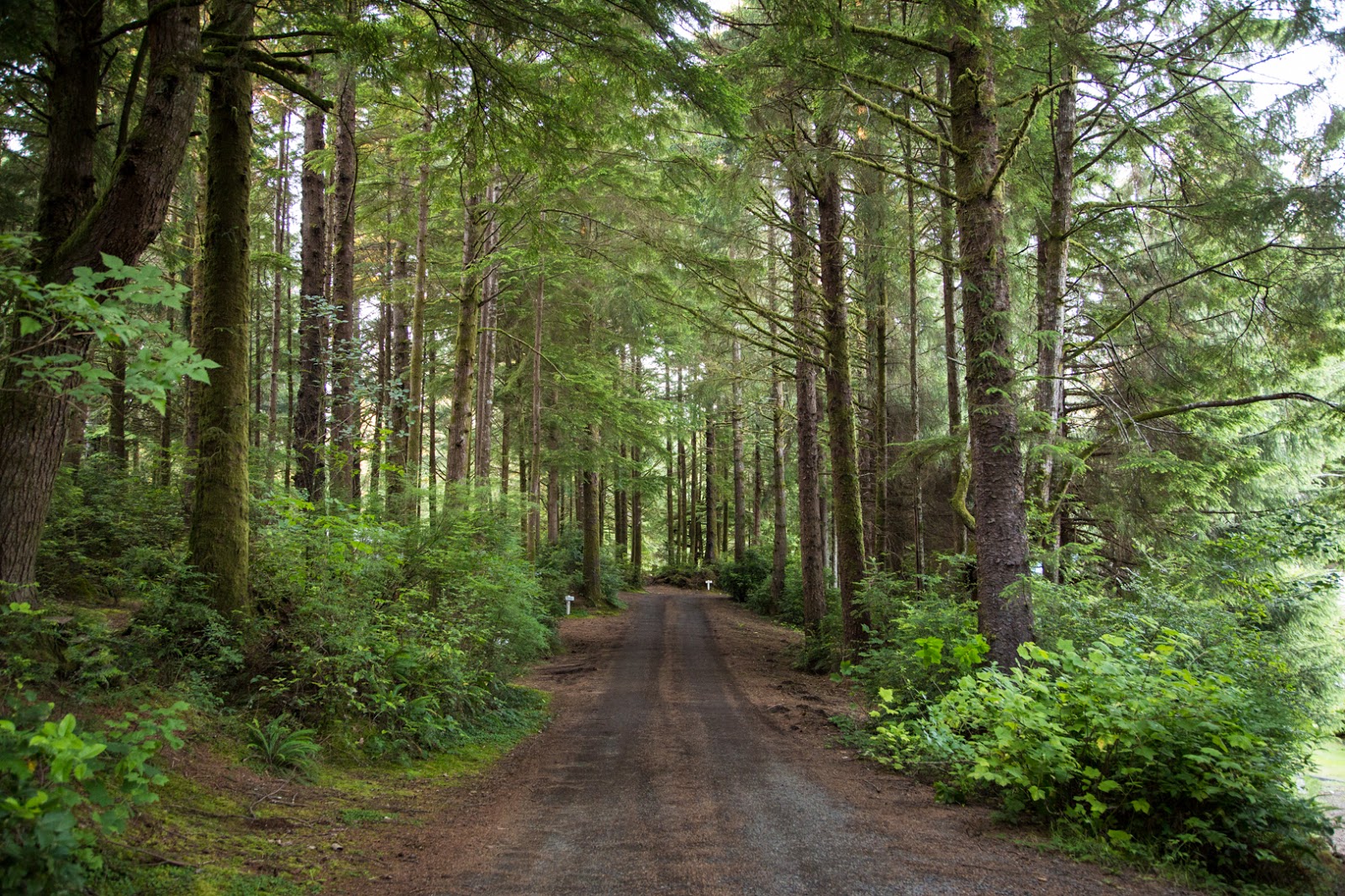 South Jetty RV & Camping Resort
