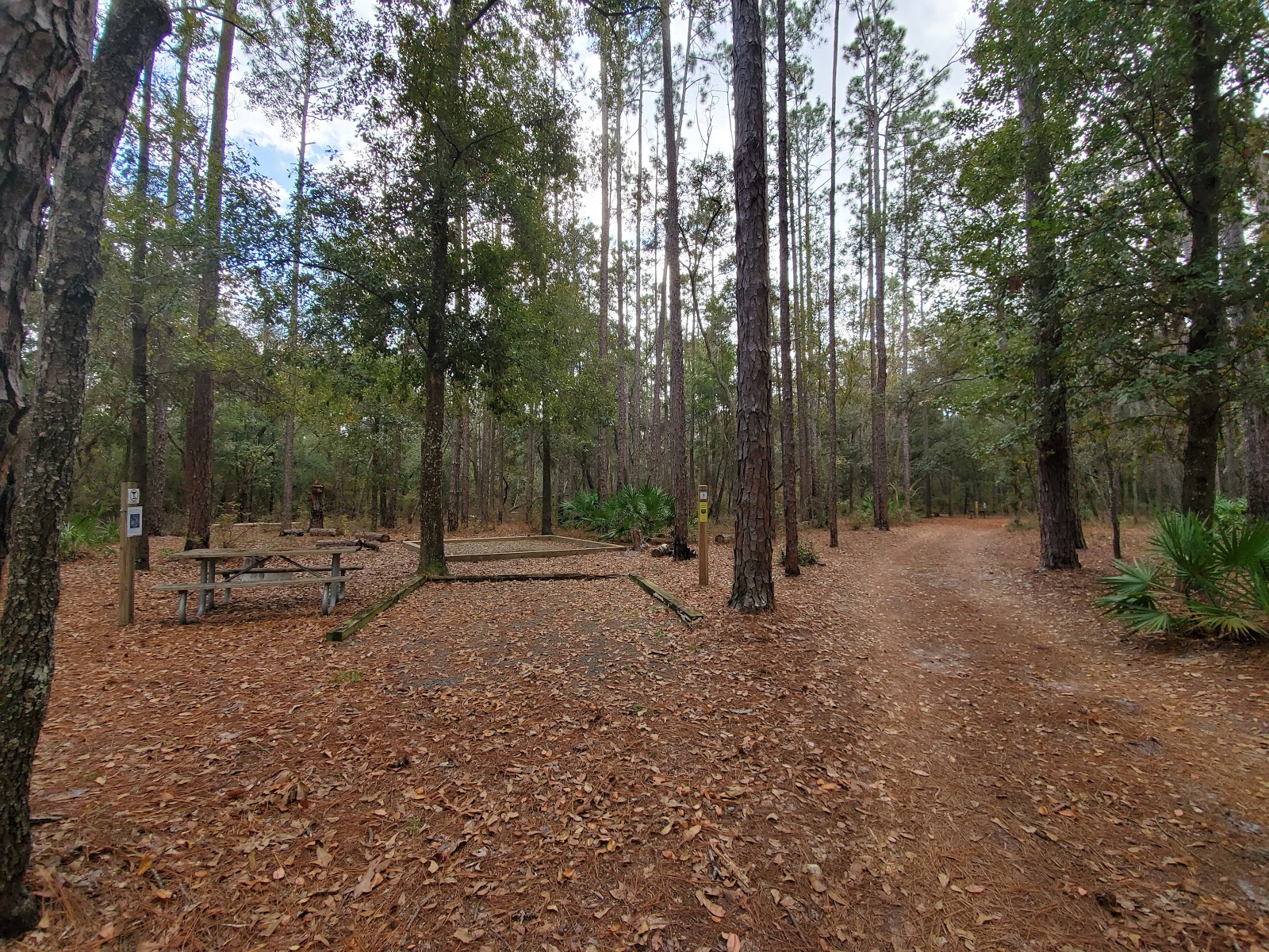 Jennings State Forest - Hammock Campground