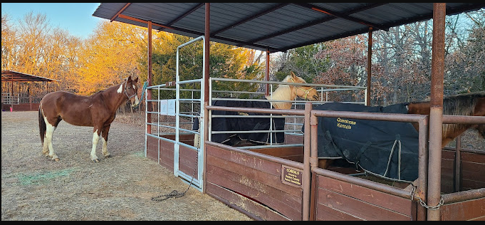 Blue Stem Grove Equestrian - Isle du Bois - Ray Roberts Lake State Park