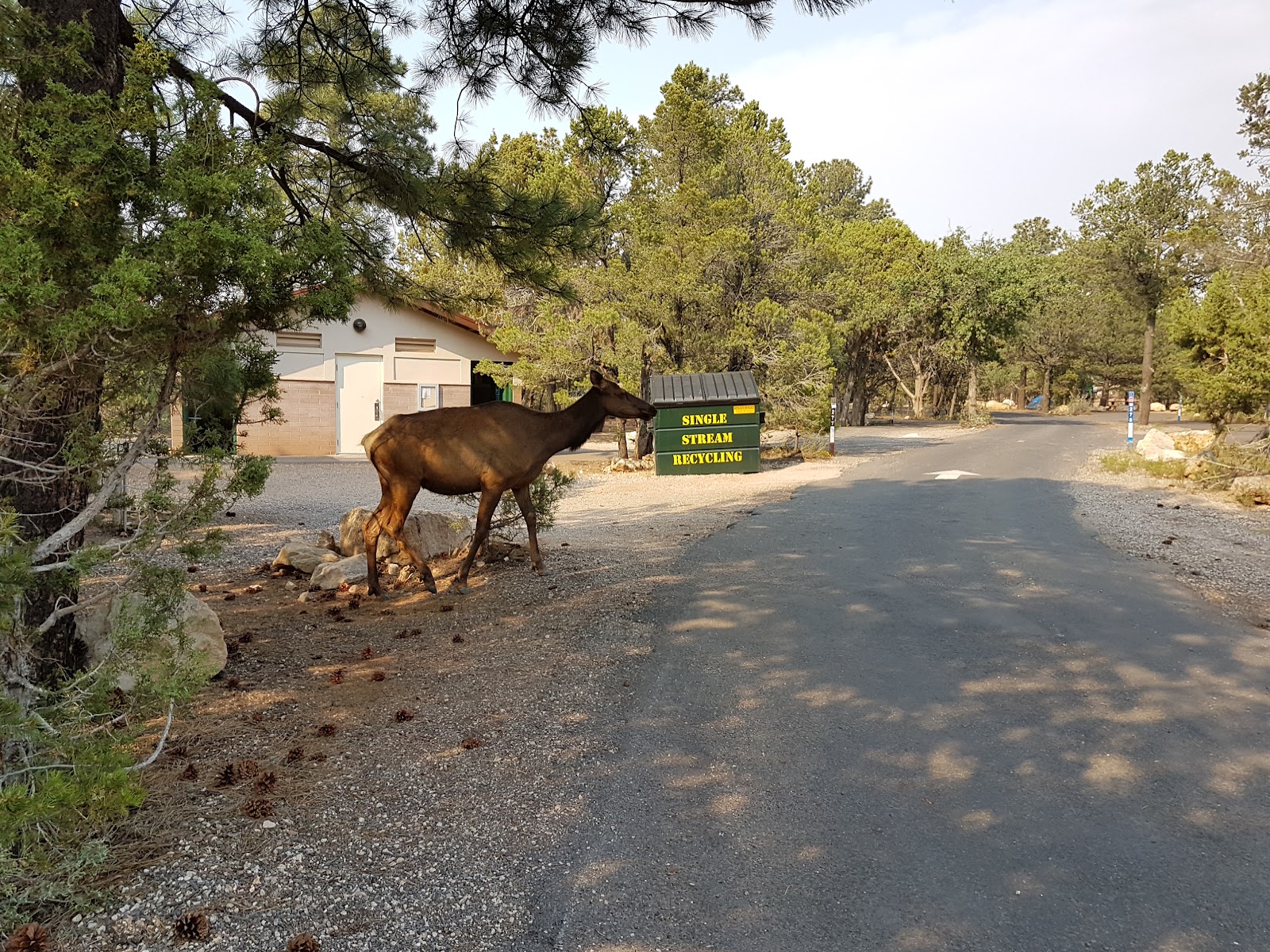 Desert View Campground South - Grand Canyon National Park