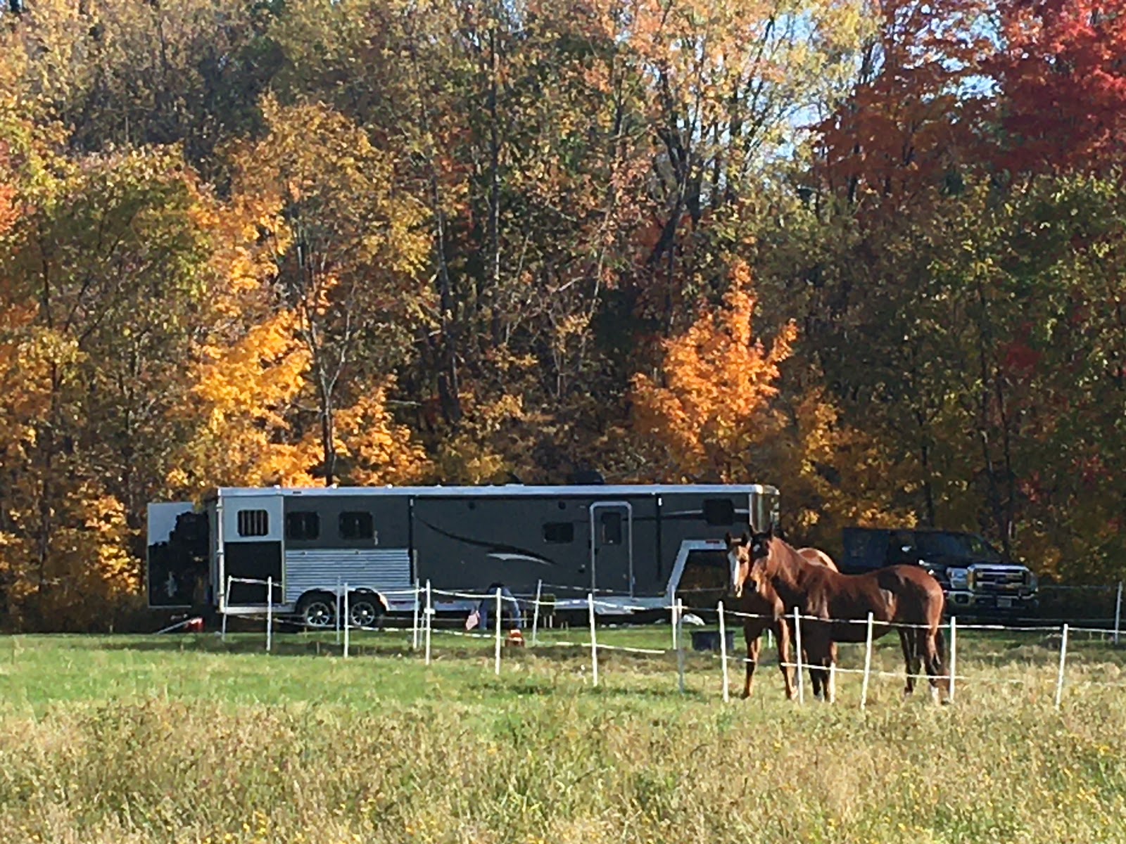 Lone Mountain River Front Camping