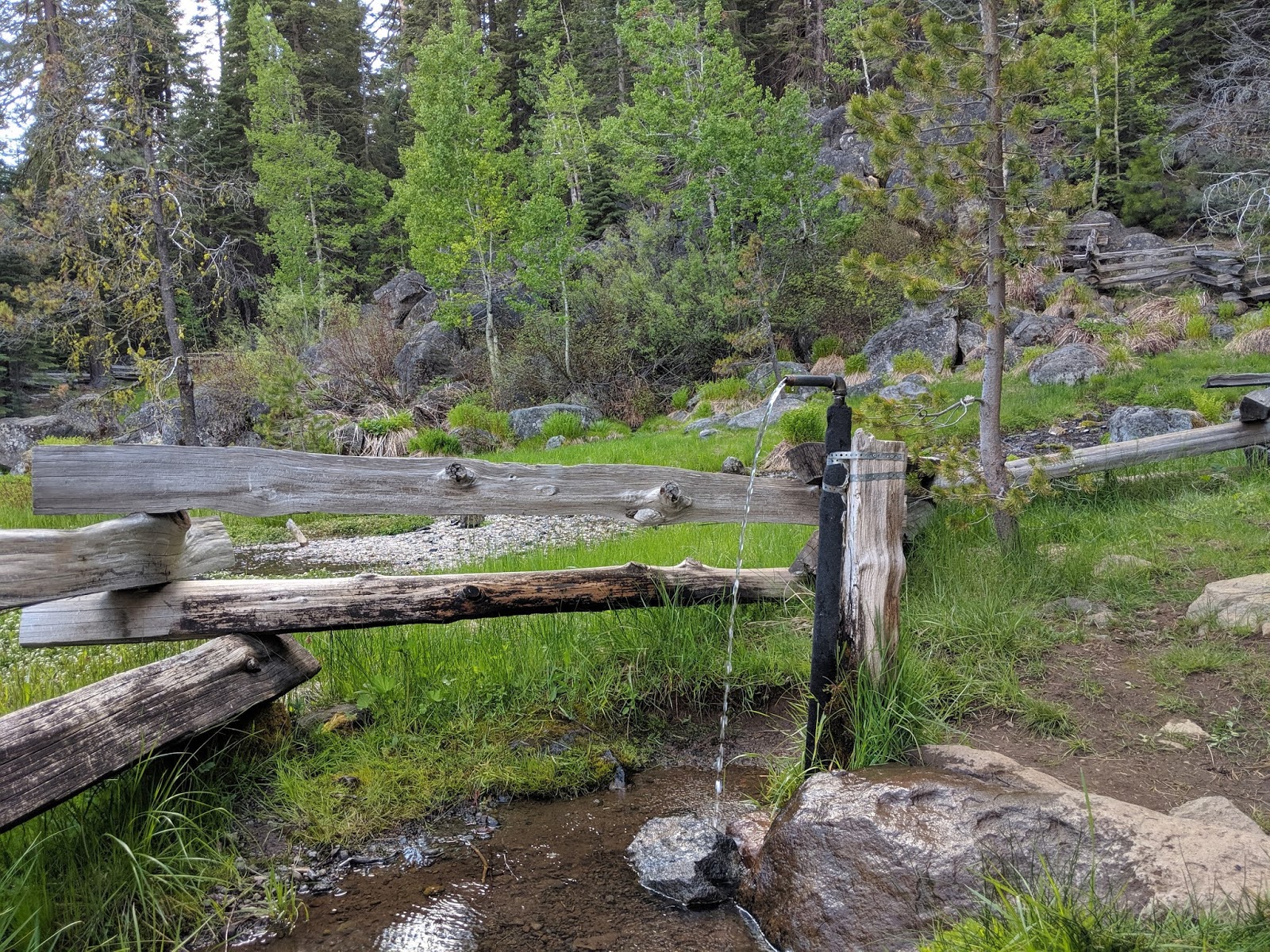 Domingo Springs Campground