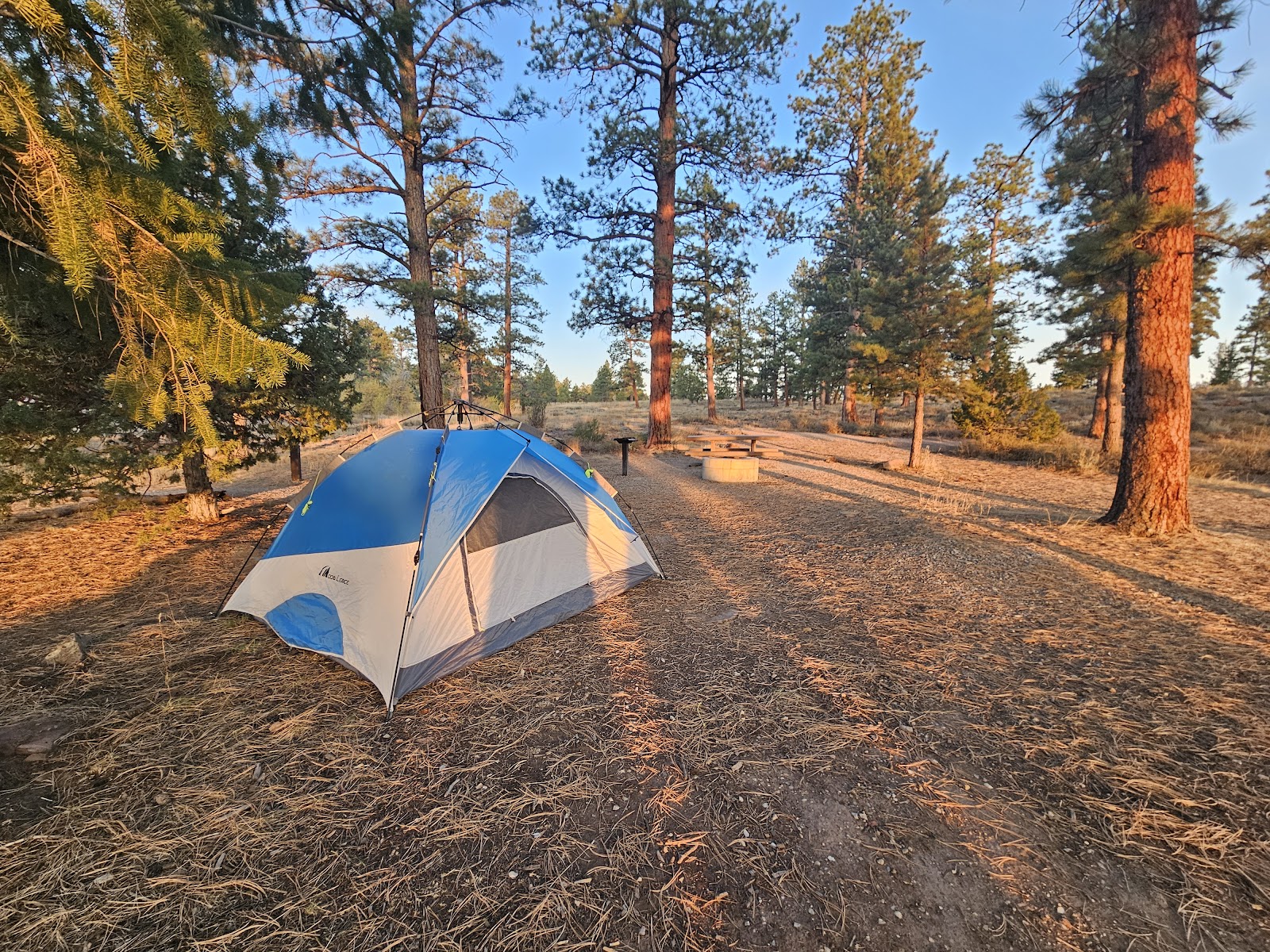 Canyon Rim Campground
