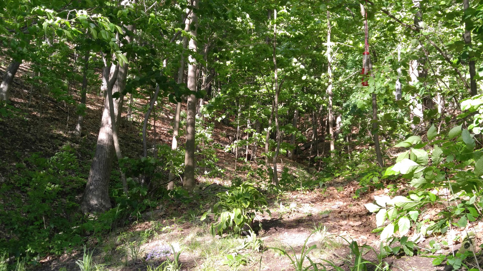 Southern Shores Campground