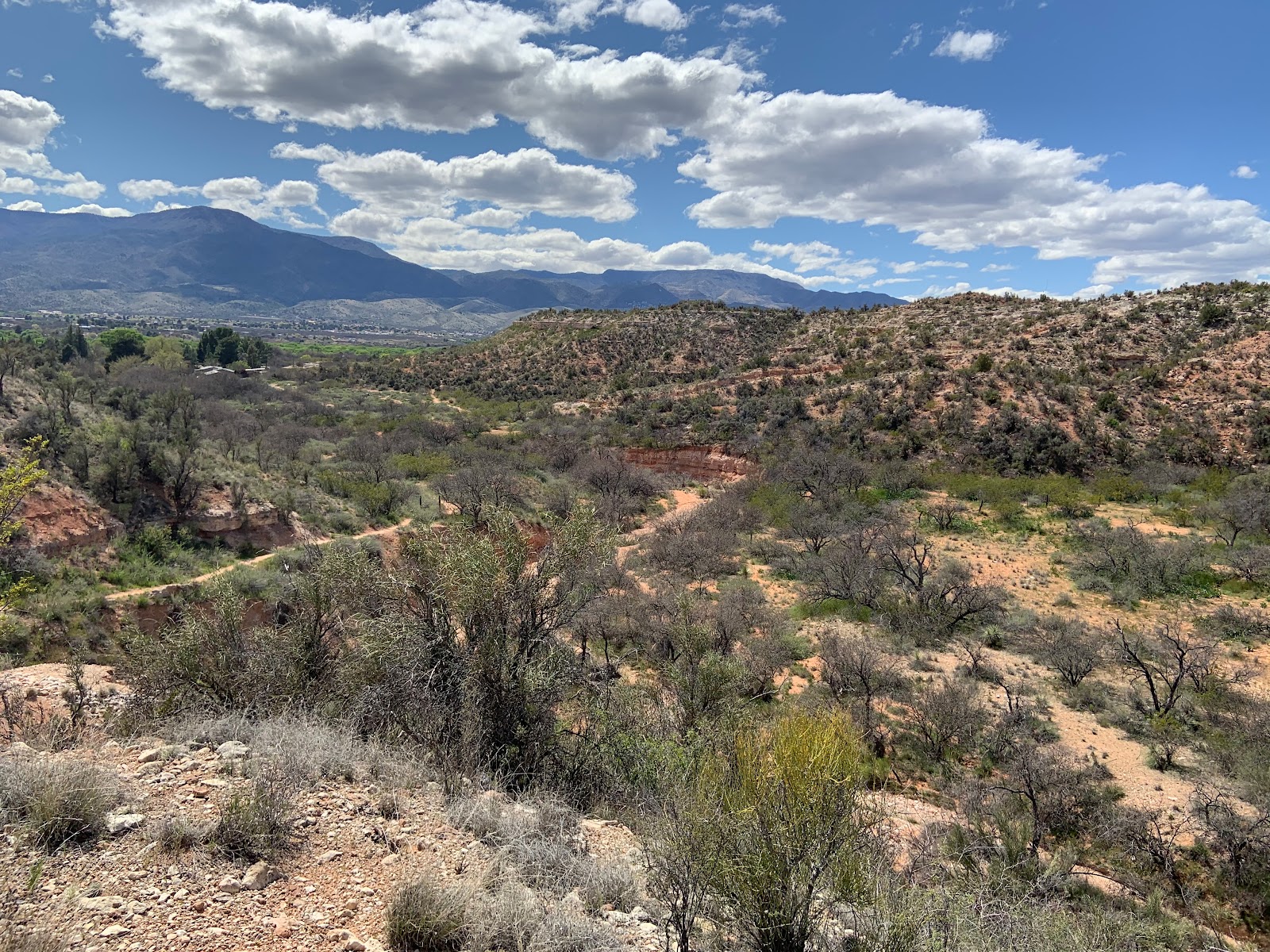 Dead Horse Ranch State Park