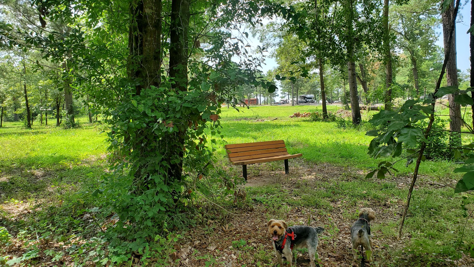 Dan's Riverview RV Park