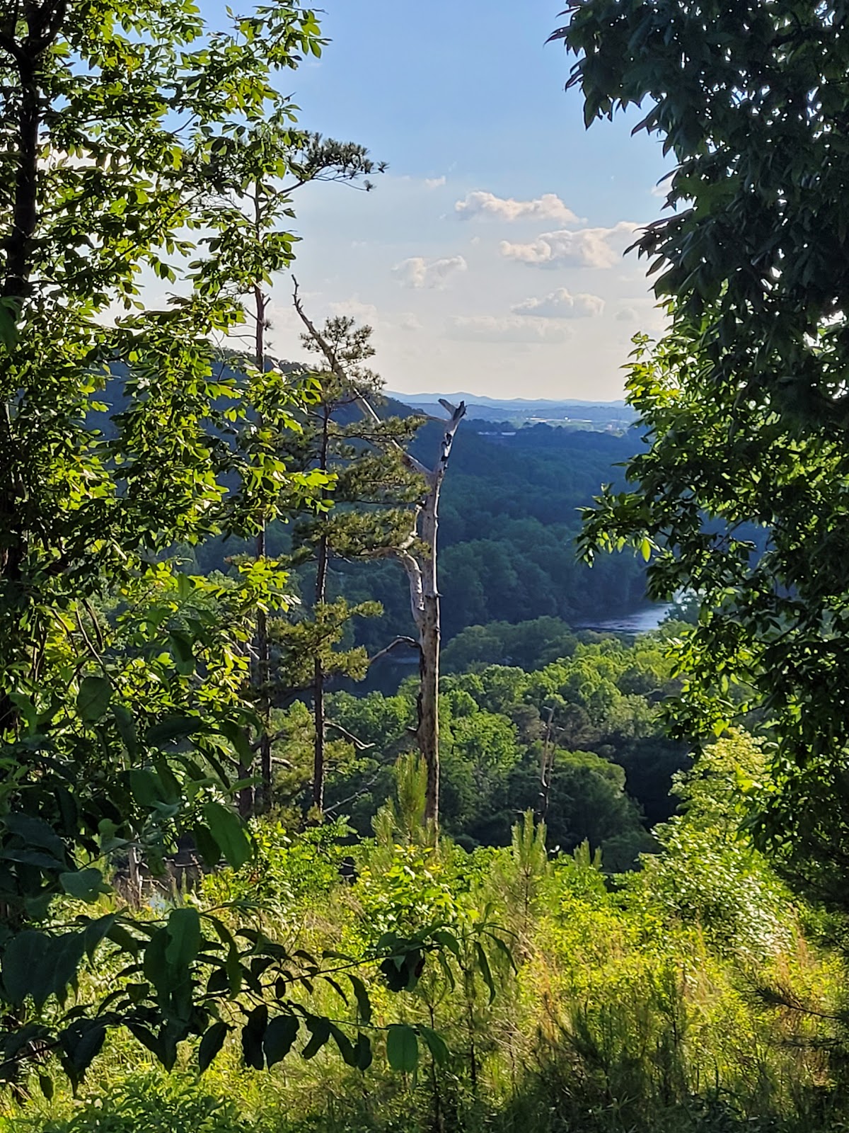 Cooper'S Furnace Day Use Area (GA)