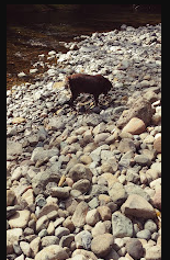 Cougar Valley State Park