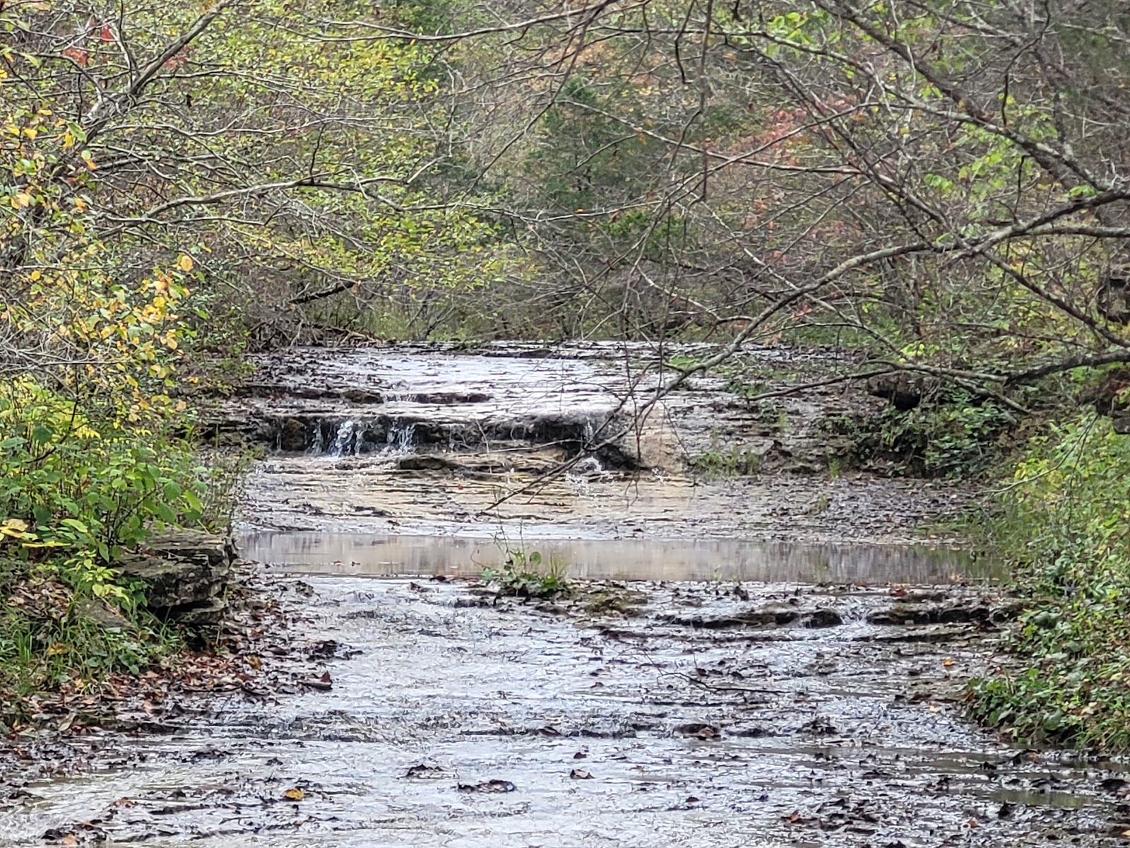 St. Francois State Park