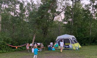 Lion Park at Lake Upsilon