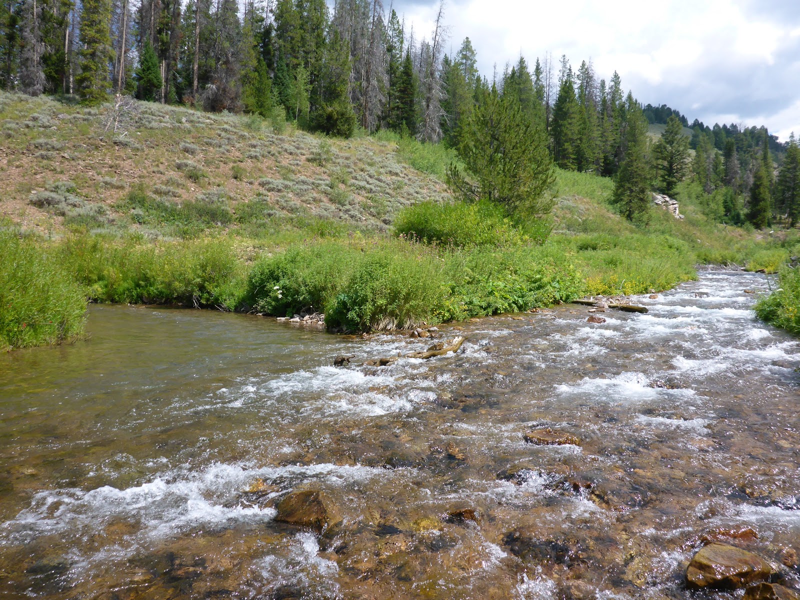 Lake Alice Campground
