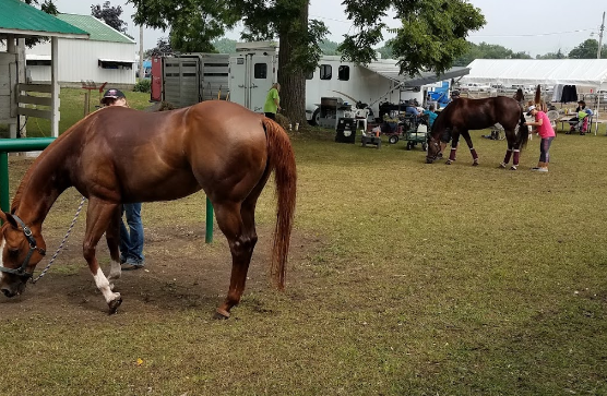 Branch County Fairgrounds RV