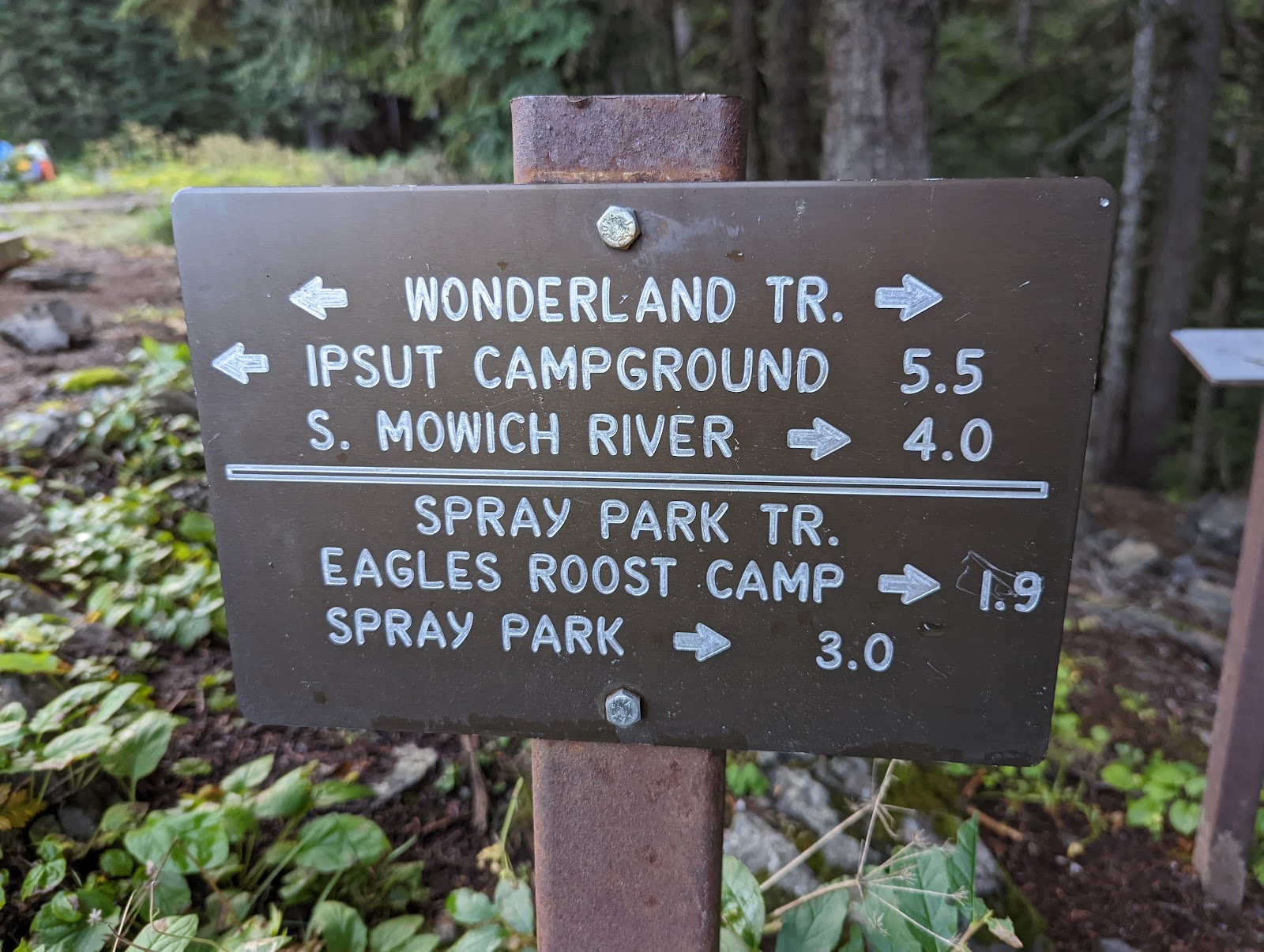 Mount Rainier National Park Campground