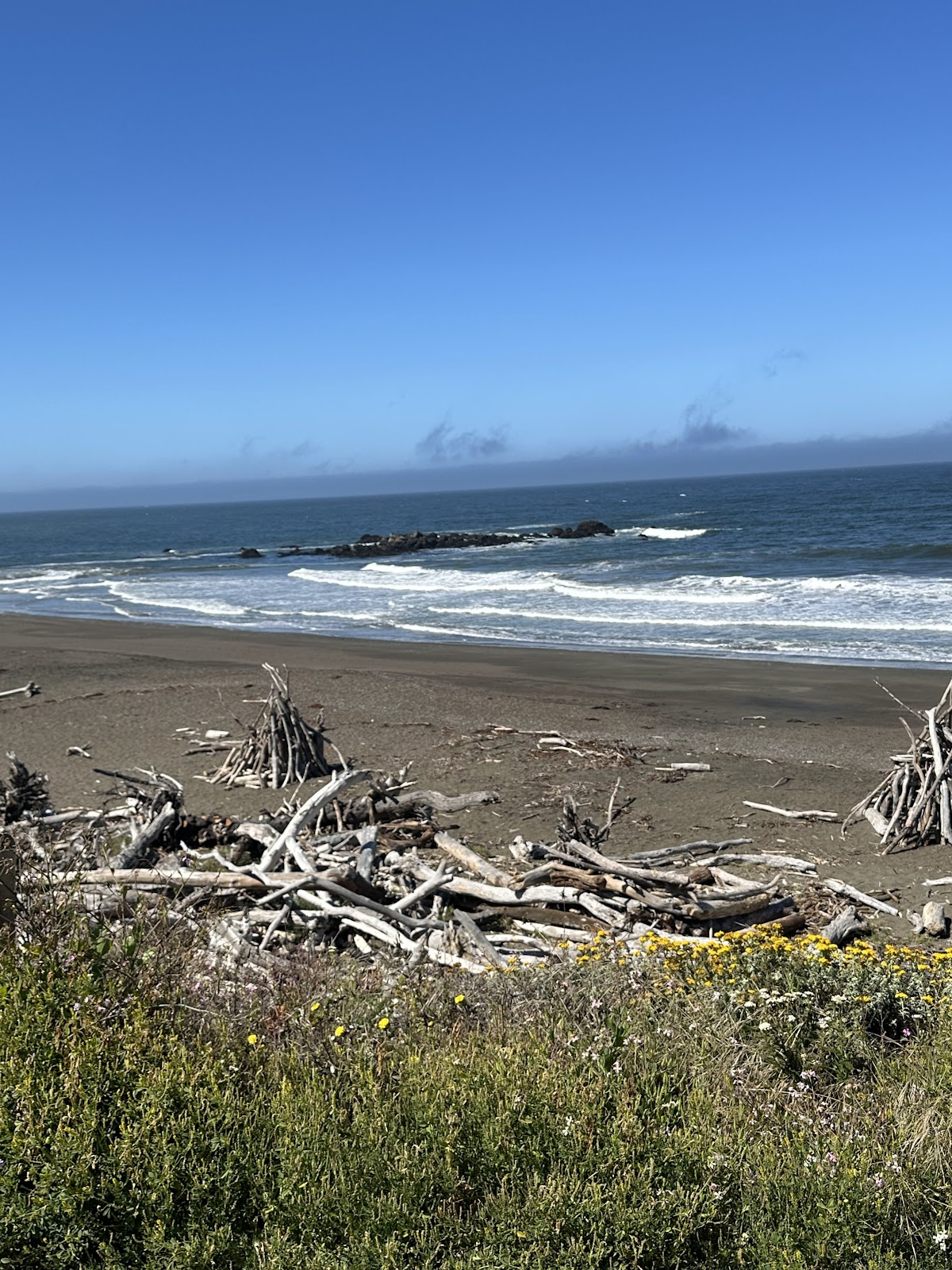 San Simeon State Park