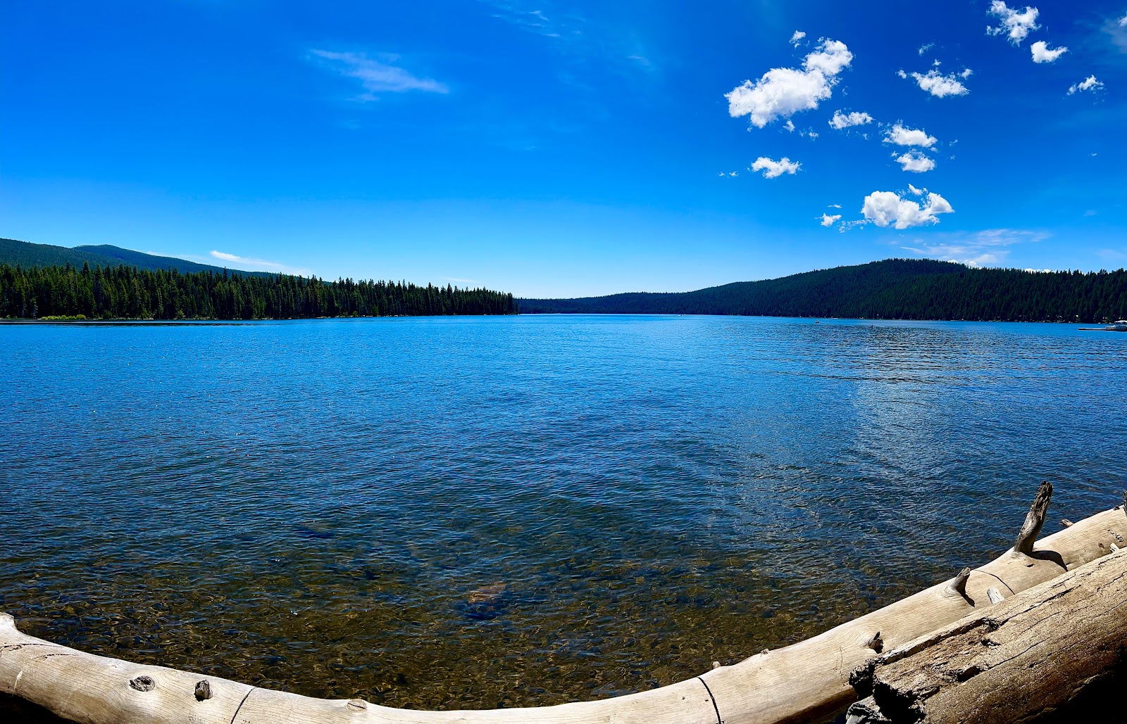 Aspen Point Campground