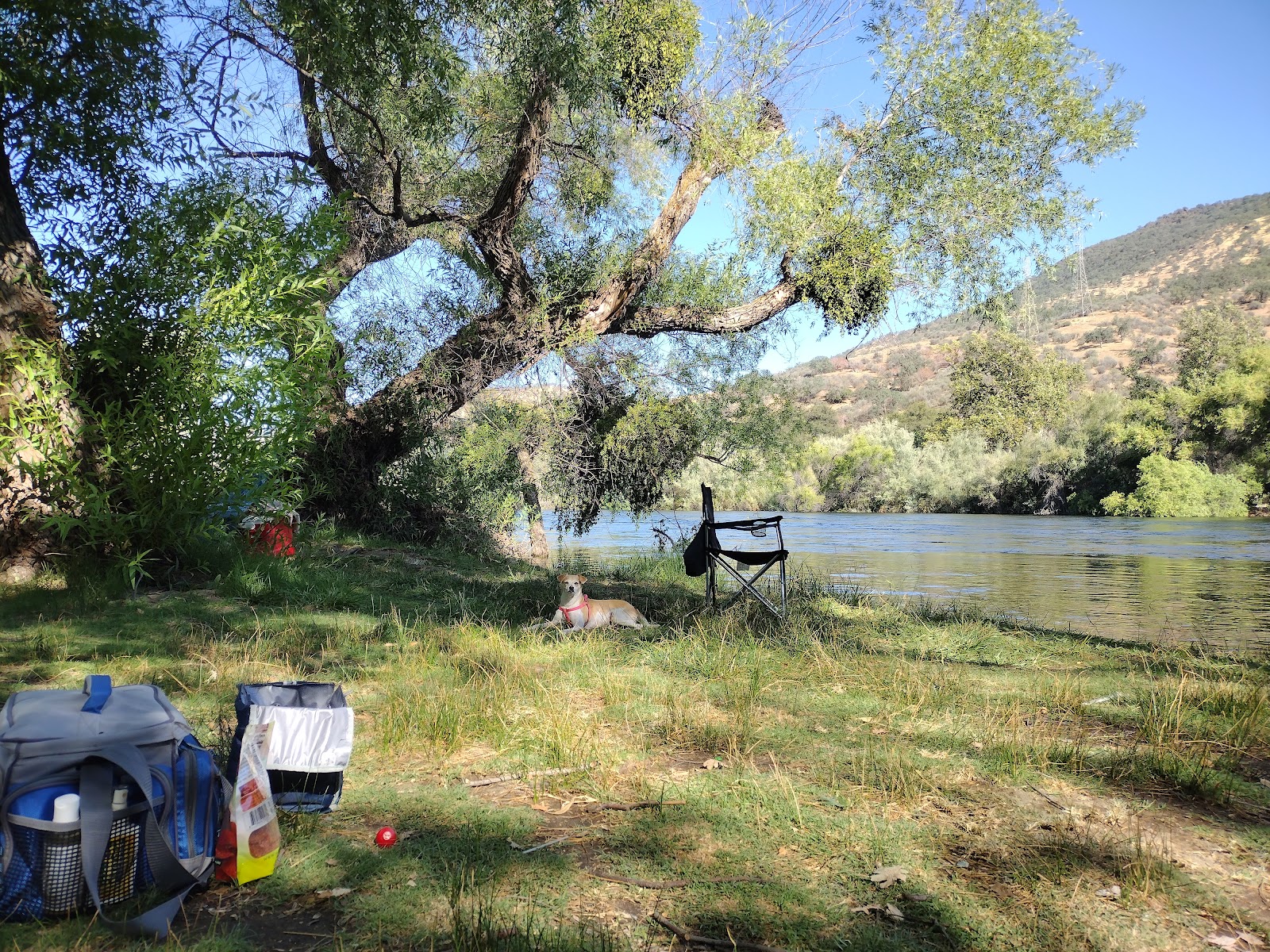 Choinumni Park Campground