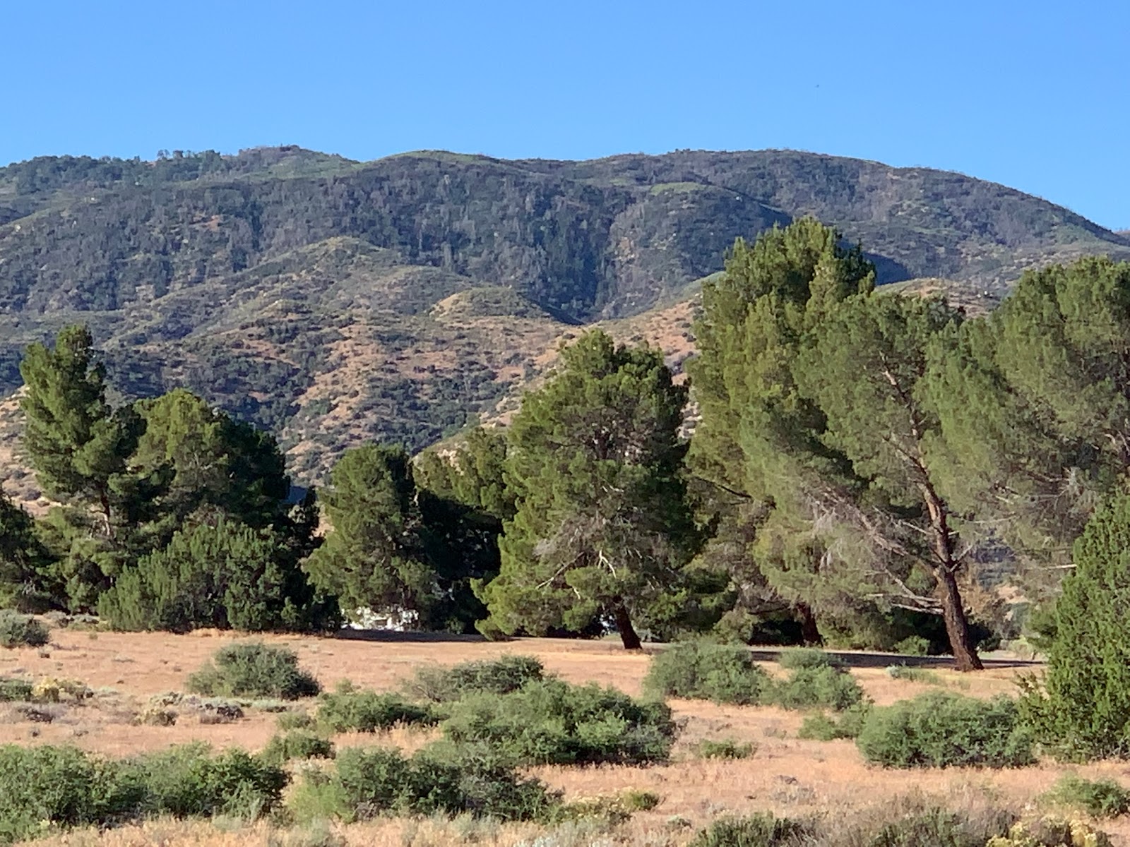 Mojave River Forks Park