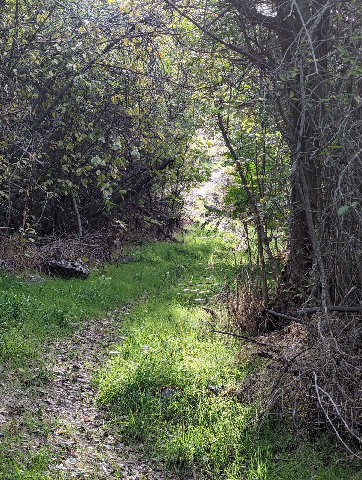 PO Saddle Campground