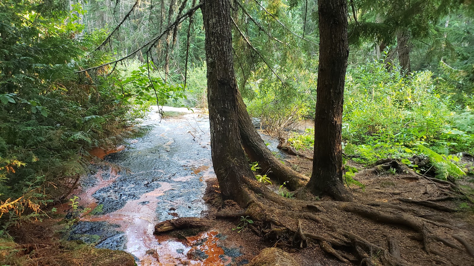 Soda Springs Campground