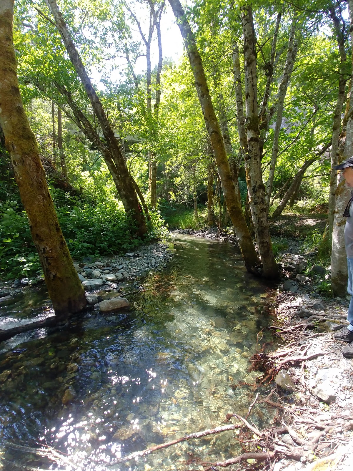 Aikens Creek Campground