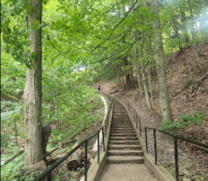 Tippy Dam Road Cabin and Campground