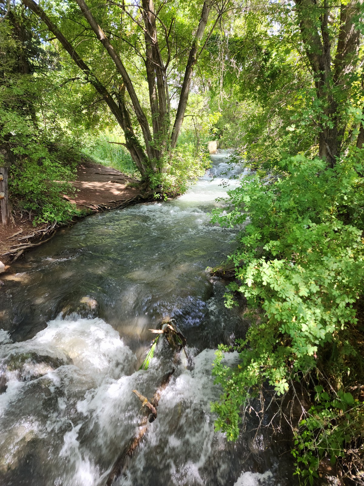 Rifle Falls State Park